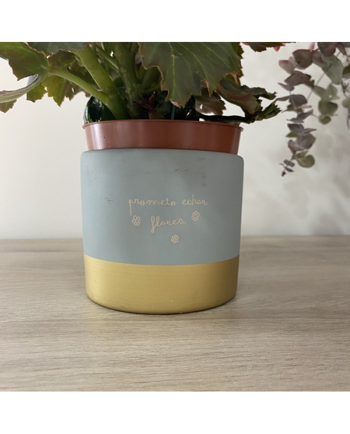 Maceta Grabada