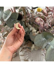 Pendientes Luna Lunera