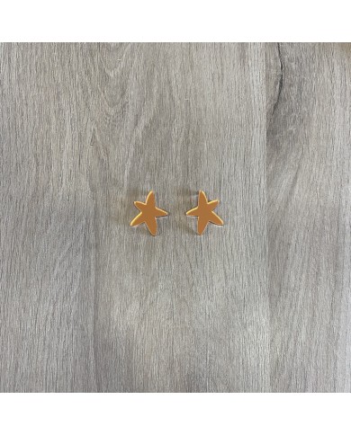 Pendientes Estrellita de Mar