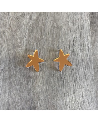 Pendientes Estrellita de Mar