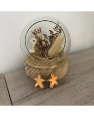 Pendientes Estrellita de Mar