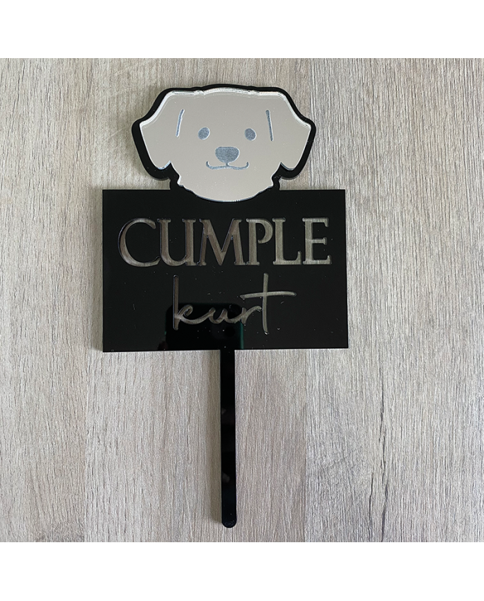 Topper Cumple Perro, Labrador