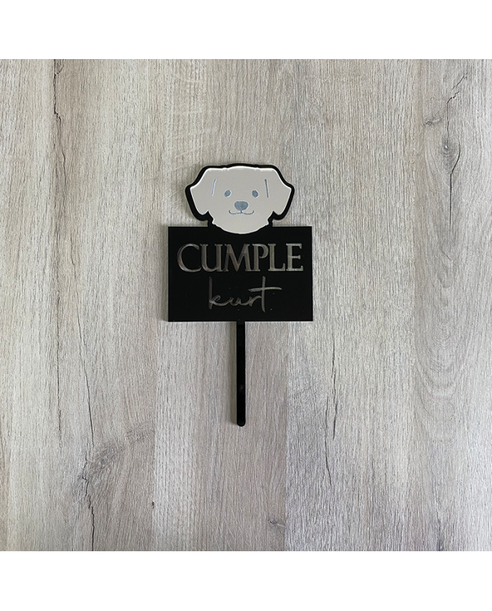 Topper Cumple Perro, Labrador