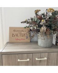 Cartel Bienvenidos a mi / nuestro Bautizo