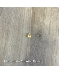 Charm Inicial con o sin Pulsera