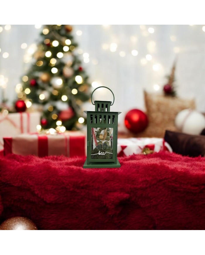 FAROLILLO CON NOMBRE CON FLORES PRESERVADAS Y TIRA DE LED