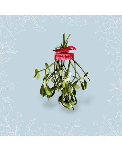 PLACA MUERDAGO PEQUEÑA