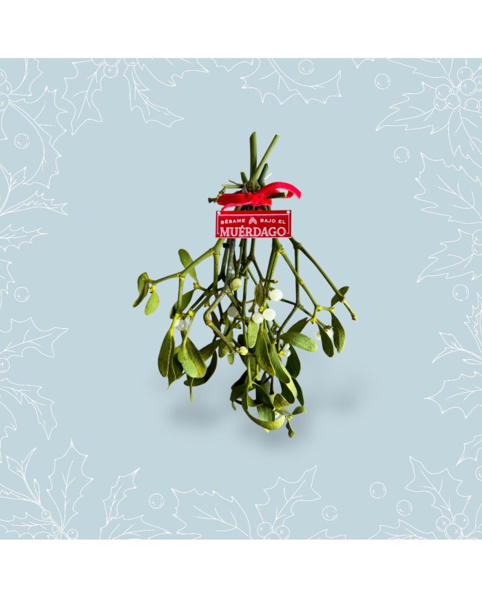 PLACA MUERDAGO PEQUEÑA