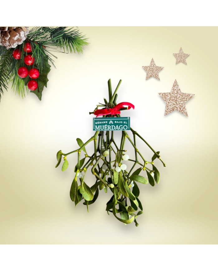 PLACA MUERDAGO PEQUEÑA