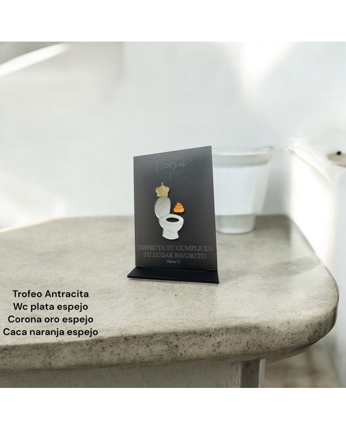 TROFEO CARTEL CUMPLE WC CON NOMBRE Y EDAD