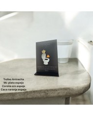 TROFEO CARTEL CUMPLE WC CON NOMBRE Y EDAD