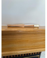 ABANICO PLACA Y PERLAS CON NOMBRE