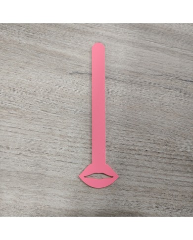 Paletas para Helado Love