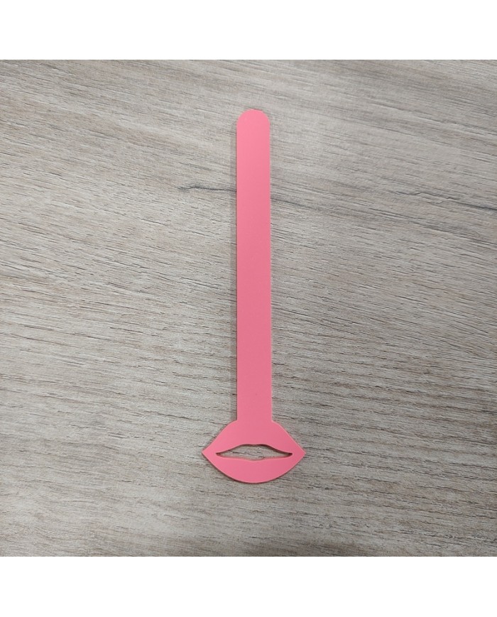 Paletas para Helado Love