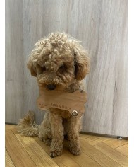 Pegatinas Adhesivas para Tacones y Zapatos de Boda