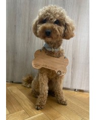 Porta Alianzas para Mascotas