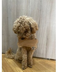 Porta Alianzas para Mascotas