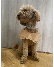 Porta Alianzas para Mascotas